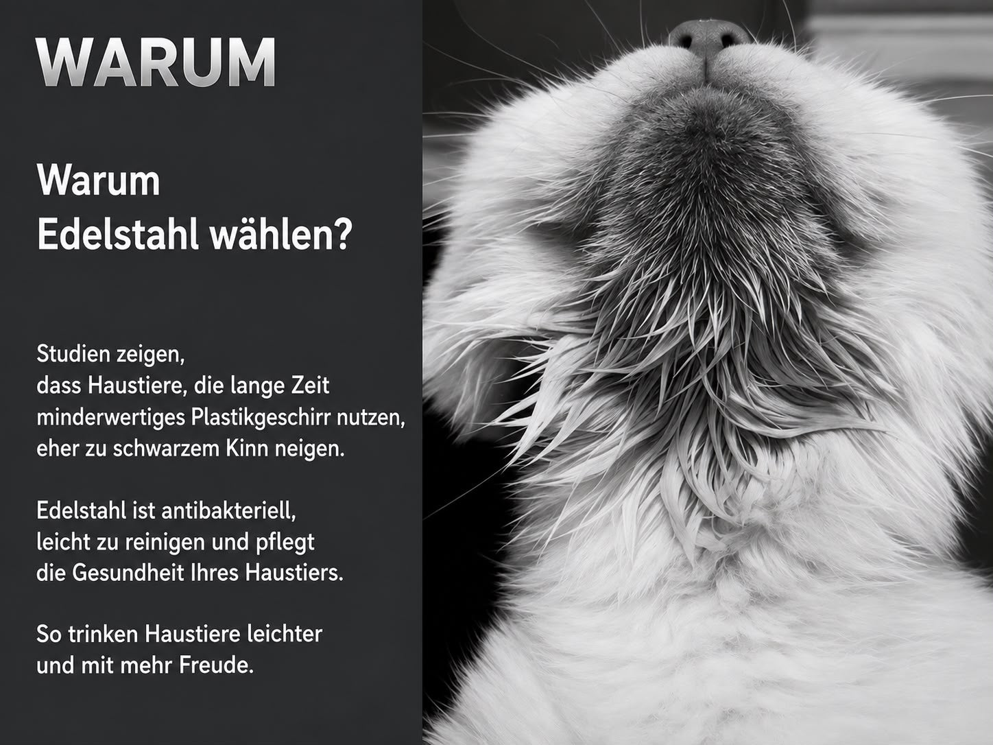 PawFlow Smart Fontain Pro – Edelstahl Haustier-Wasserspender
