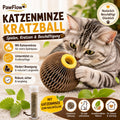 PawFlow Katzenminze-Kratzball für Katzen – Spielen, Krallenpflege & Beschäftigung