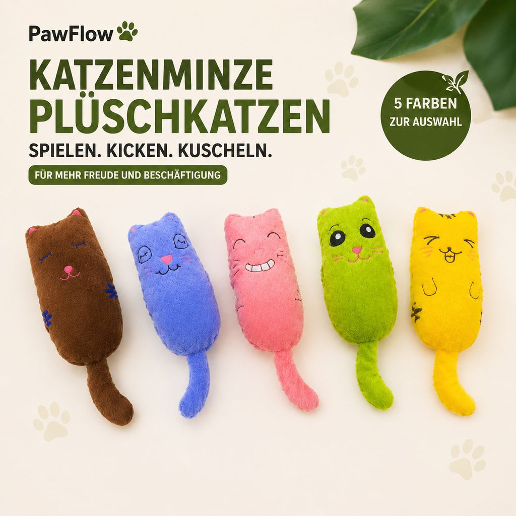 PawFlow Katzenminze-Plüschtier für Katzen – Spielen, Kicken & Kuscheln