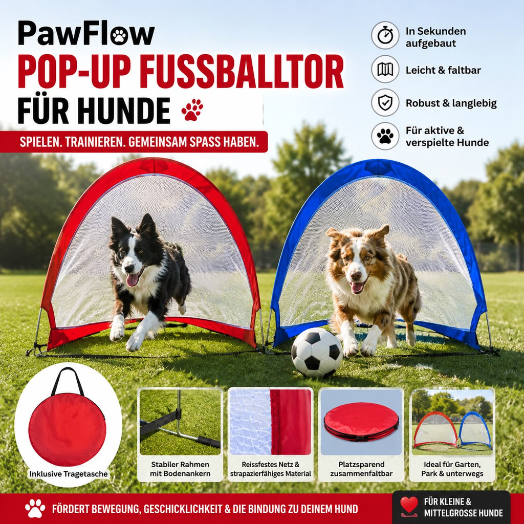 PawFlow Pop-up Fussballtor für Hunde – Faltbares Spiel- & Trainingstor