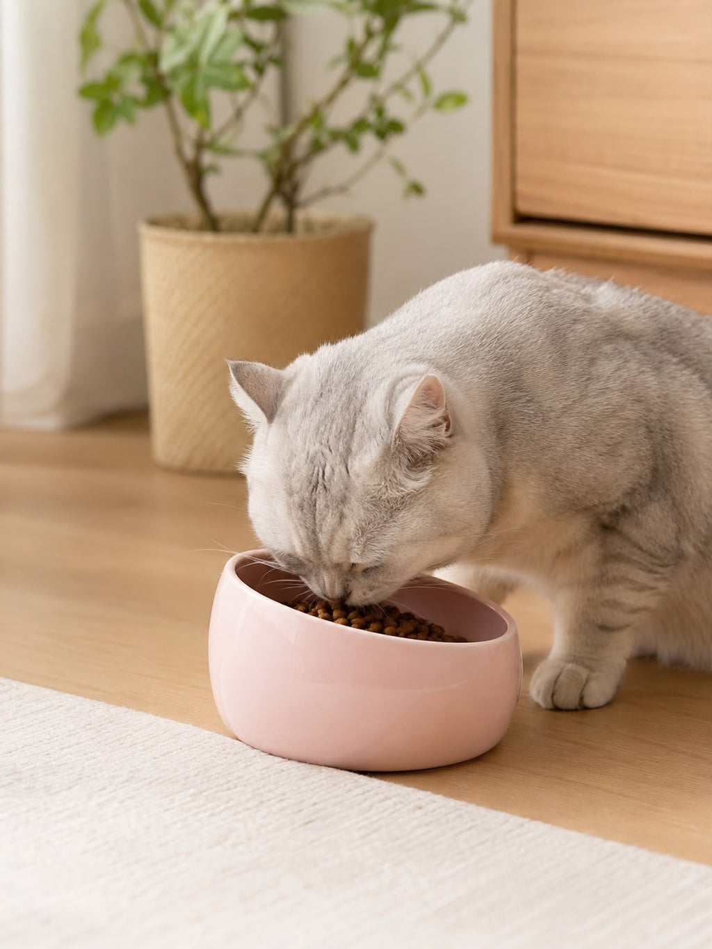 PawFlow Keramiknapf mit erhöhter Rückseite
