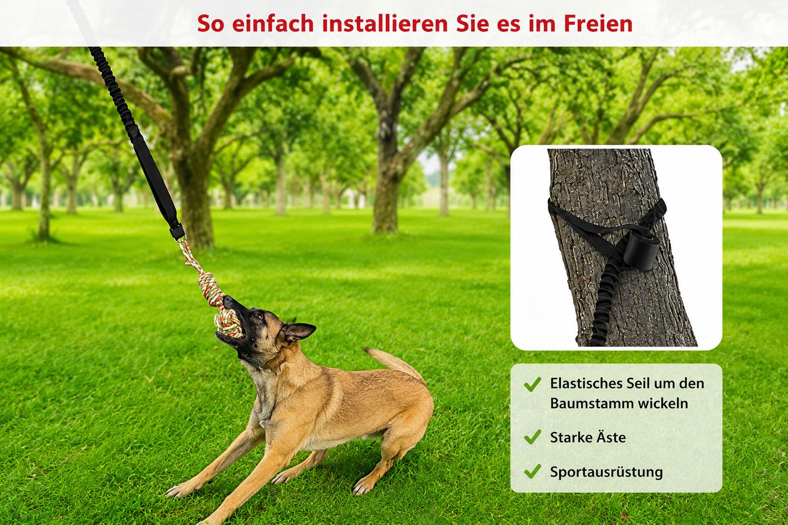 PawFlow™ Zerrspielzeug mit Elastik-Seil für Hunde – Spiel, Training & Bewegung