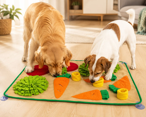 PawFlow Gemüse-Schnüffelmatte für Hunde – Intelligenzspielzeug & Futtersuche