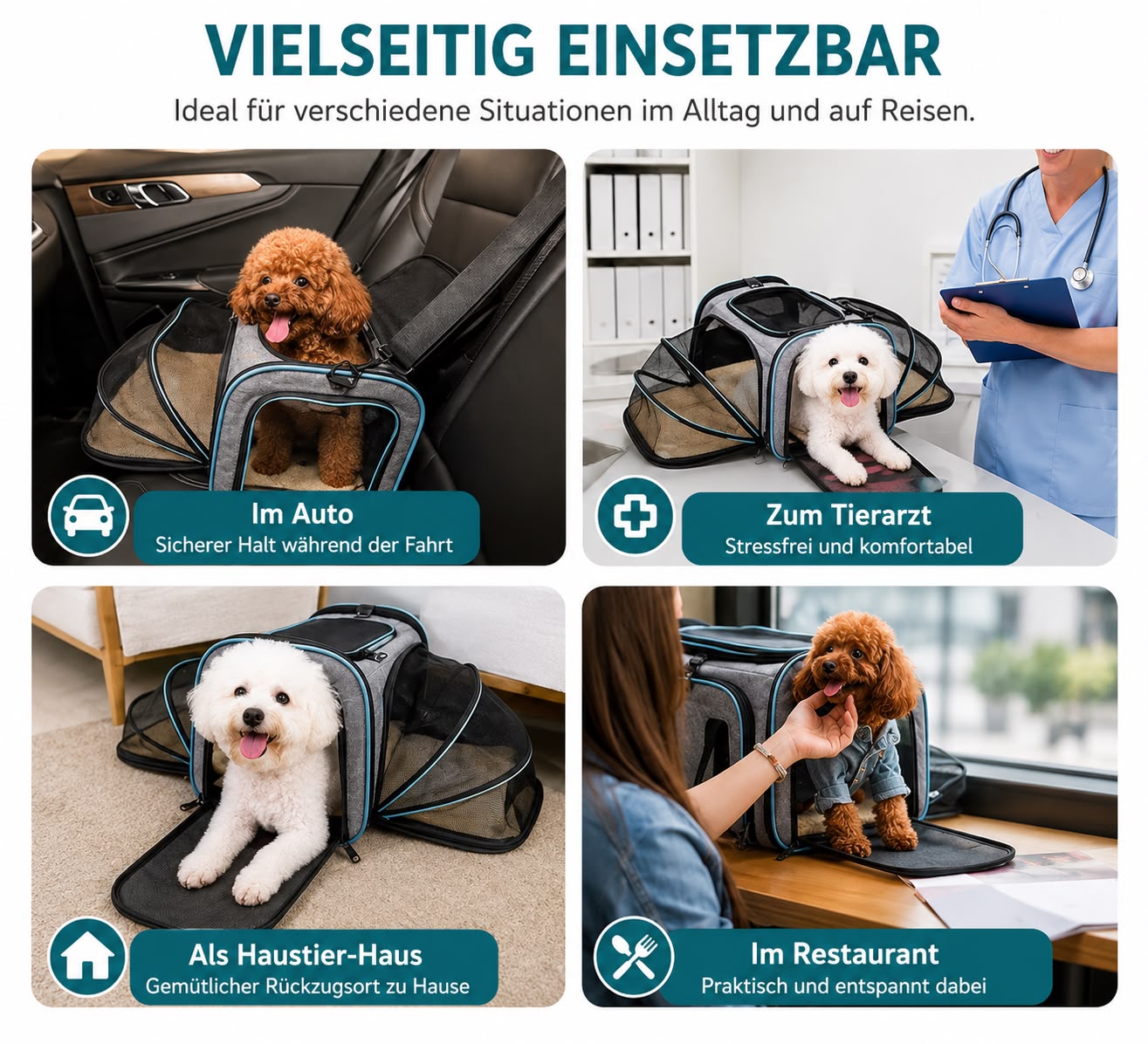 PawFlow Premium Reise-Transportbox für Hunde & Katzen – Erweiterbar