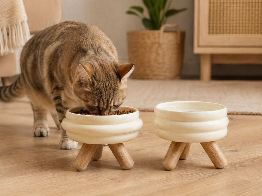 PawFlow Keramiknapf mit Holzständer