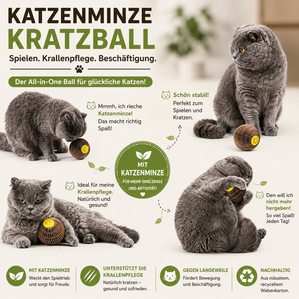 PawFlow Katzenminze-Kratzball für Katzen – Spielen, Krallenpflege & Beschäftigung