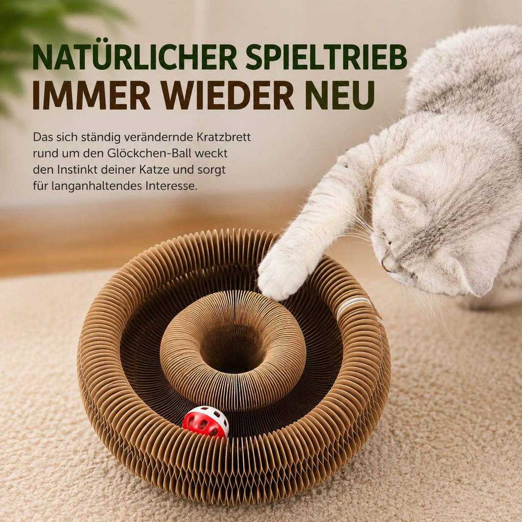 PawFlow Faltbares Katzen-Spielzeug mit Kratzfläche & Glöckchen – Spielen, Kratzen & Entdecken