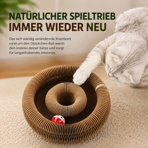 PawFlow Faltbares Katzen-Spielzeug mit Kratzfläche & Glöckchen – Spielen, Kratzen & Entdecken