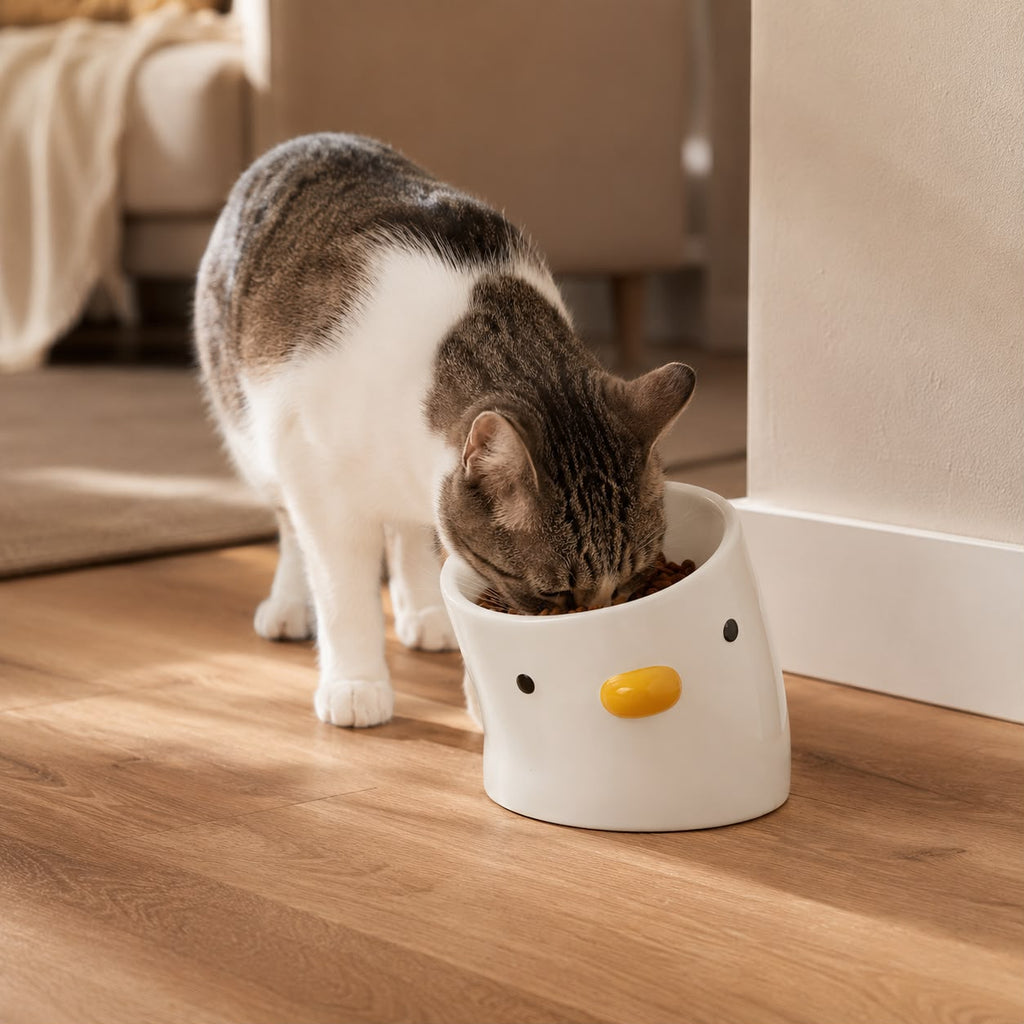 PawFlow Keramiknapf für Hunde & Katzen – gerade oder abgeschrägt