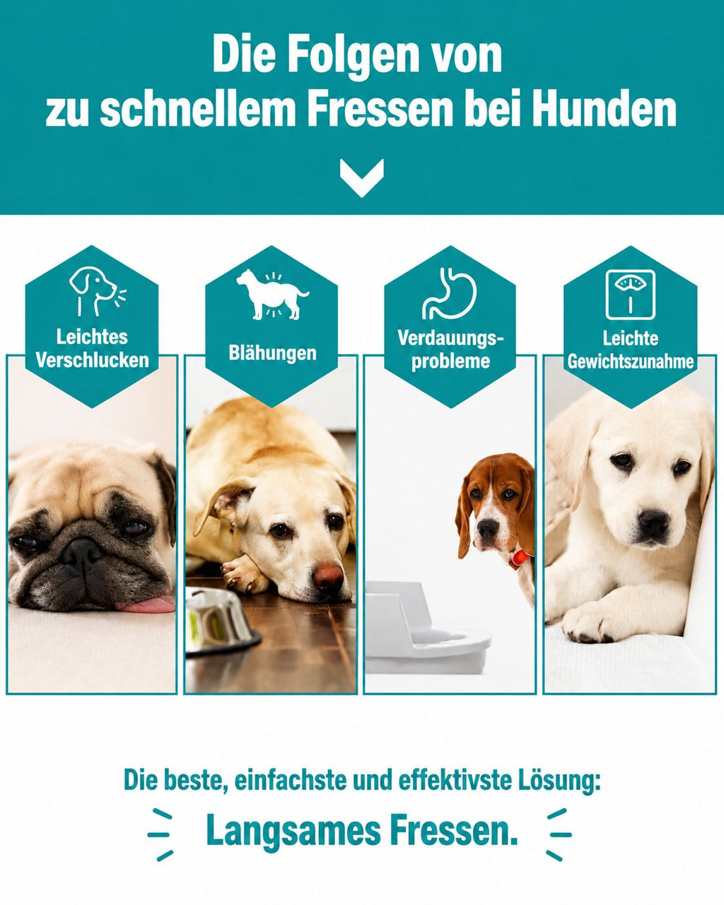 PawFlow™ Schleckmatte SlowFeeder – Beruhigende Futter- & Beschäftigungsmatte für Hunde & Katzen