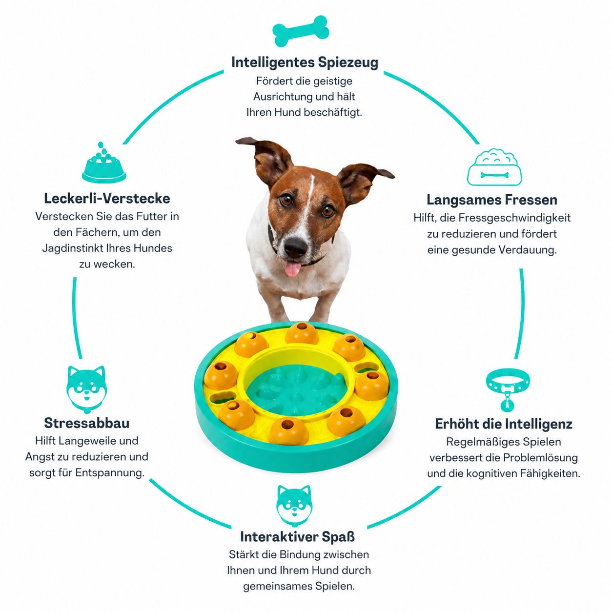 PawFlow™ Denkspiel-Futternapf für Hunde – Langsamer fressen, clever spielen