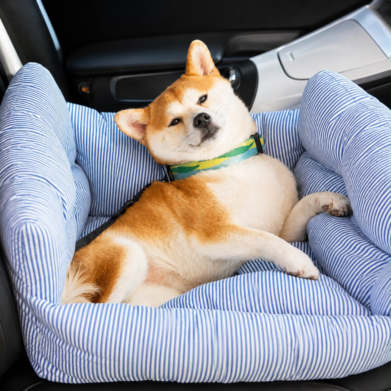 PawFlow Premium Reisebett & Autositz für Hunde