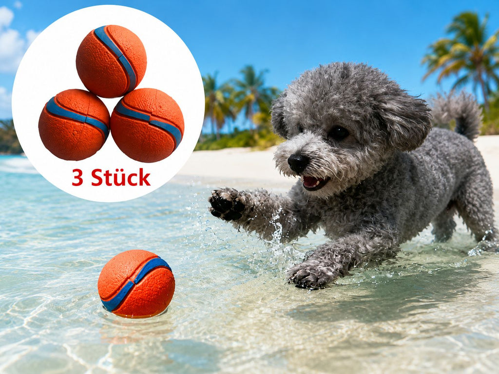 PawFlow™ 3er-Set Spiel- & Apportierbälle für Hunde – Robust, schwimmfähig & langlebig