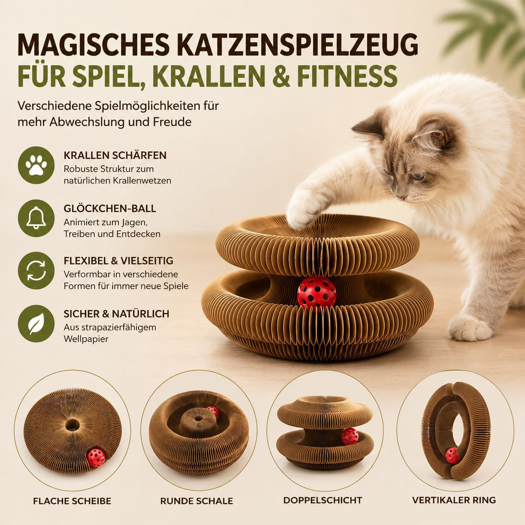PawFlow Faltbares Katzen-Spielzeug mit Kratzfläche & Glöckchen – Spielen, Kratzen & Entdecken