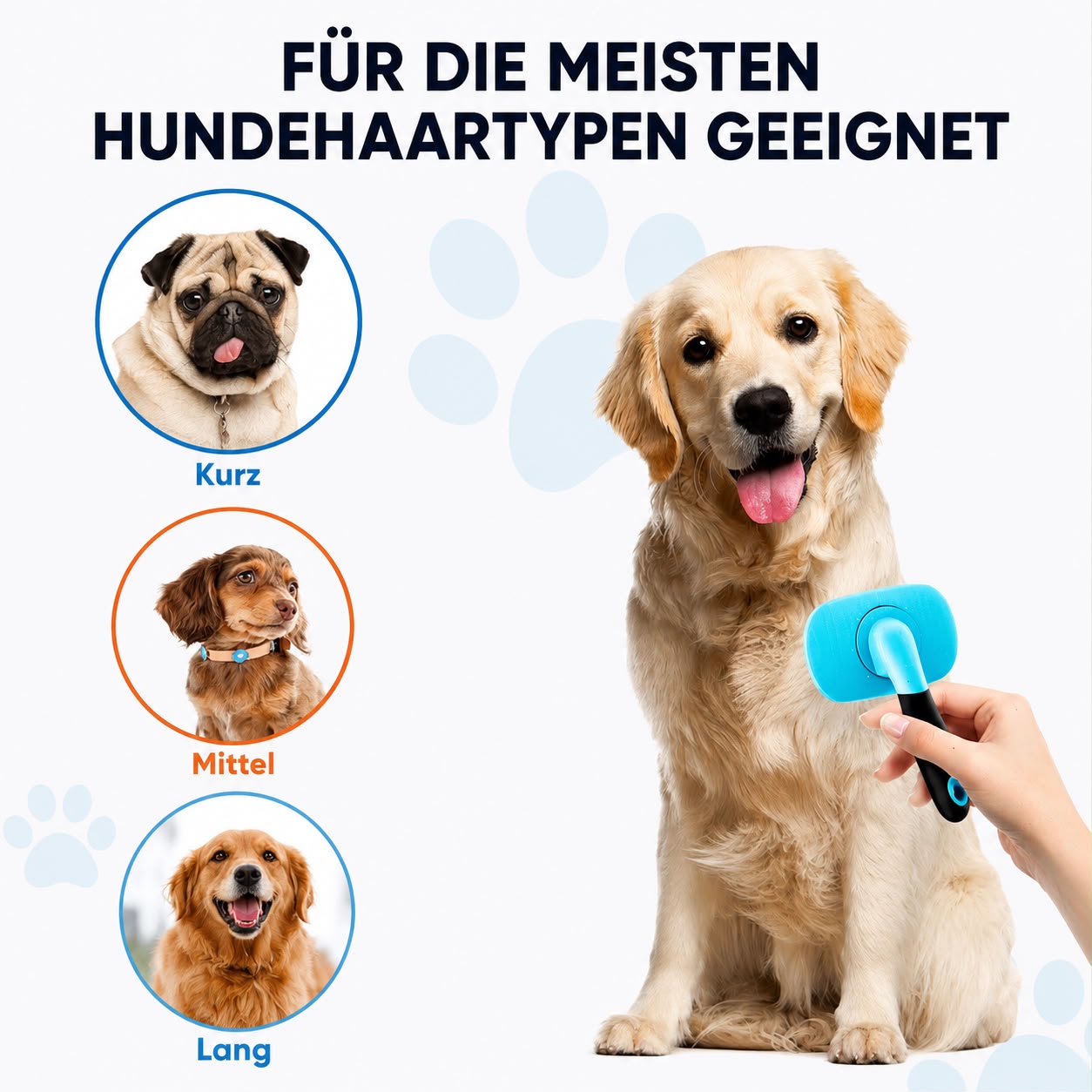 PawFlow Fellpflegebürste für Hunde & Katzen – Sanfte Massage & glänzendes Fell