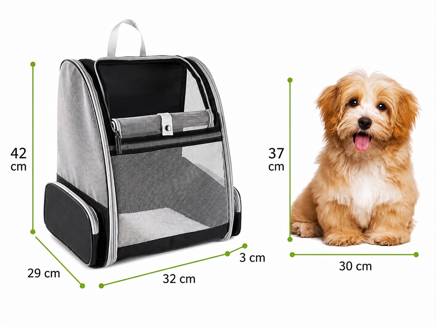 PawFlow Bubble Premium Haustier-Rucksack für Hunde & Katzen