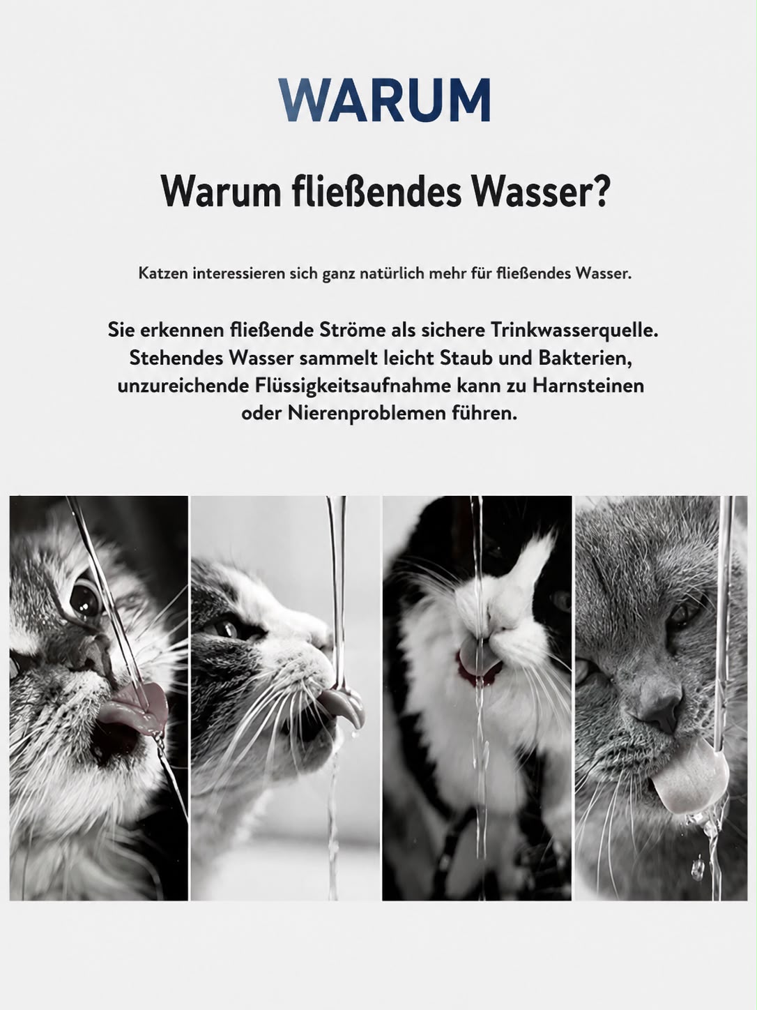 PawFlow Smart Fontain Pro – Edelstahl Haustier-Wasserspender