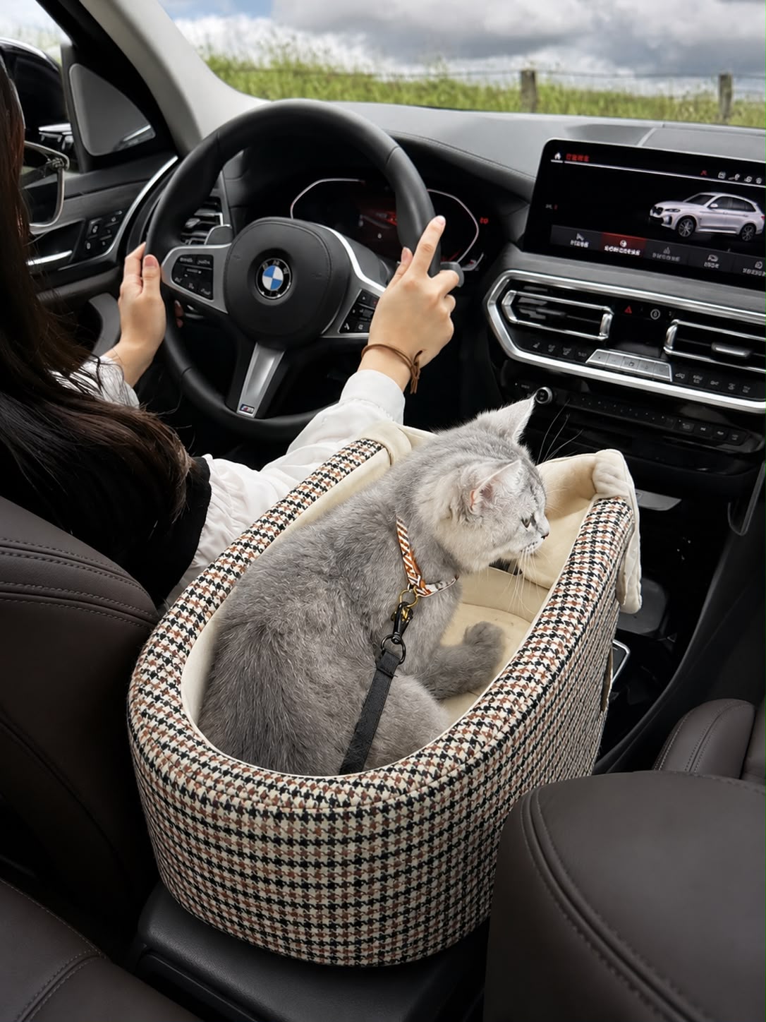 PawFlow Premium Autositz für Hunde & Katzen – Komfortbett für die Mittelkonsole