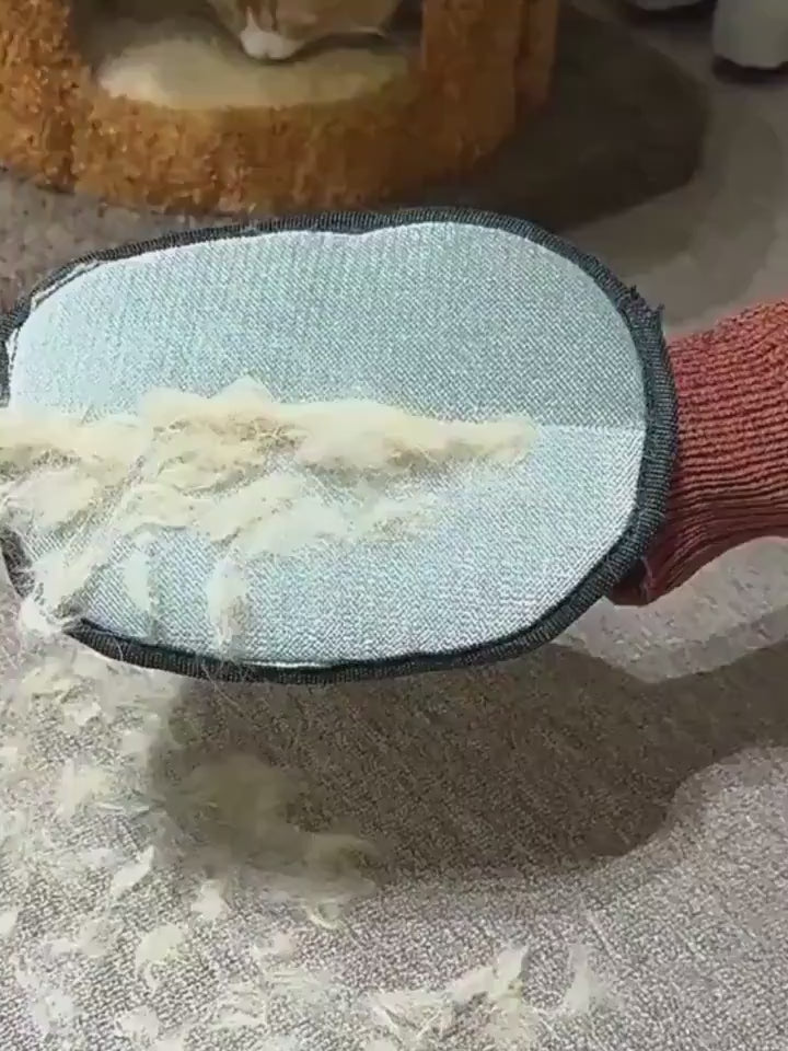 PawFlow™ Tierhaarentferner Pro