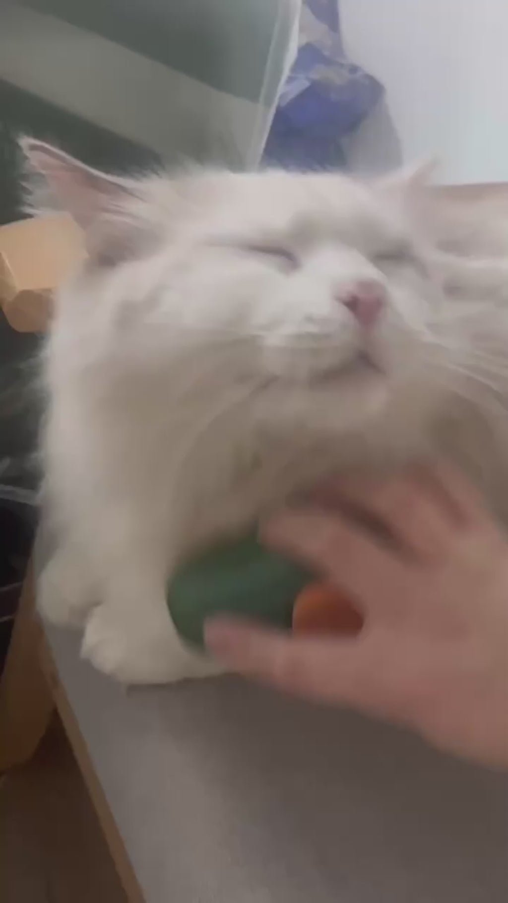 PawFlow Elektrische Dampf-Fellpflegebürste mit Massagefunktion