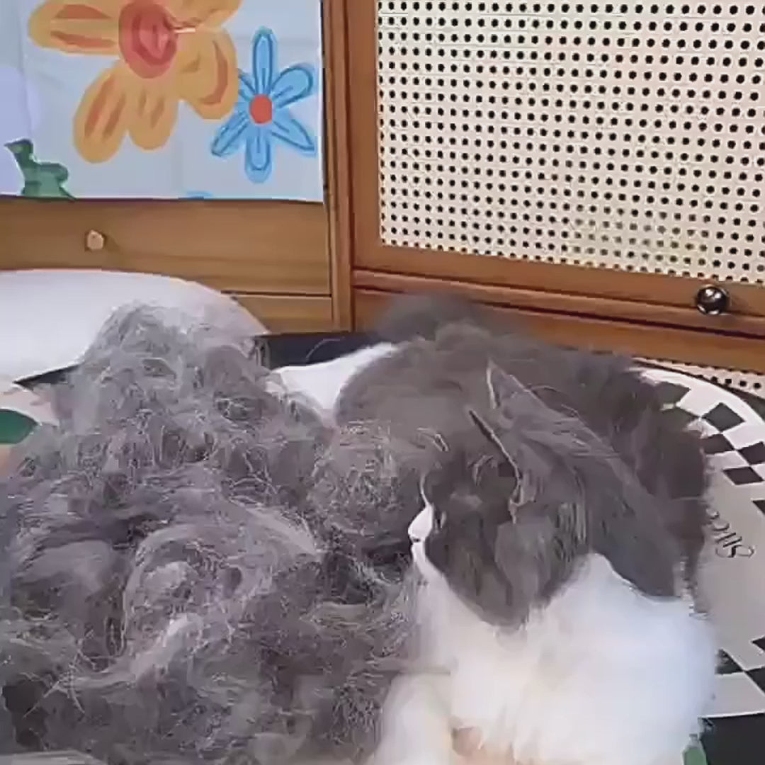 PawFlow Selbstreinigender Premium-Fellkamm für Hunde & Katzen