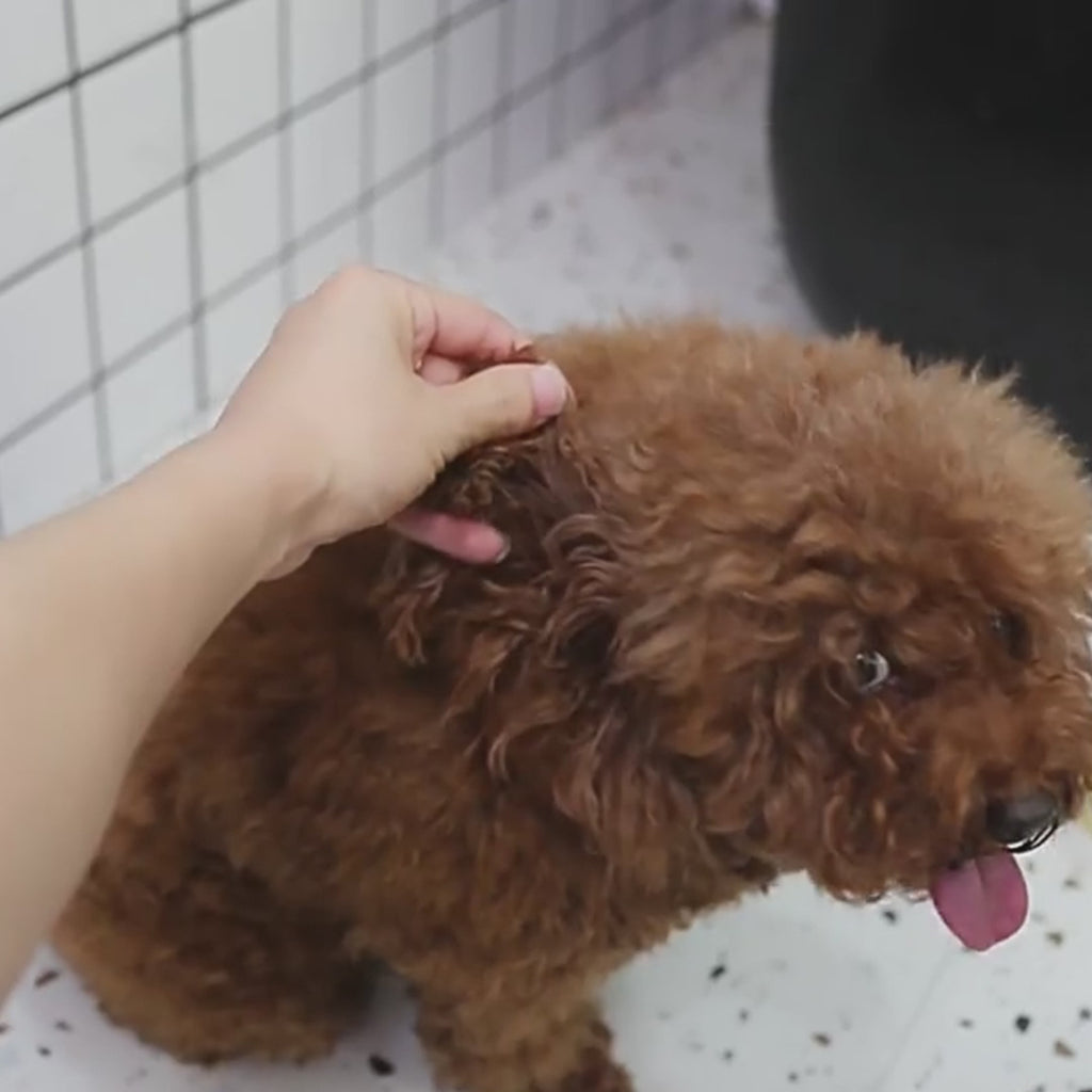 PawFlow 3-in-1 Dampfbürste für Hunde & Katzen – Reinigen, Massieren & Entfilzen