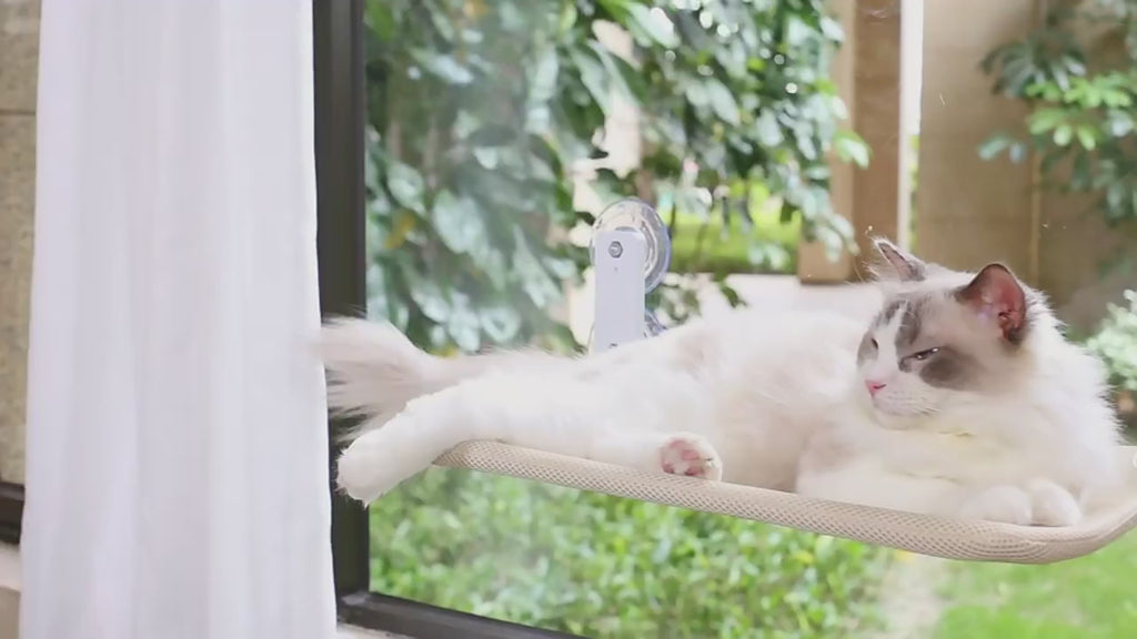 PawFlow Fenster-Katzenliege zum Klappen
