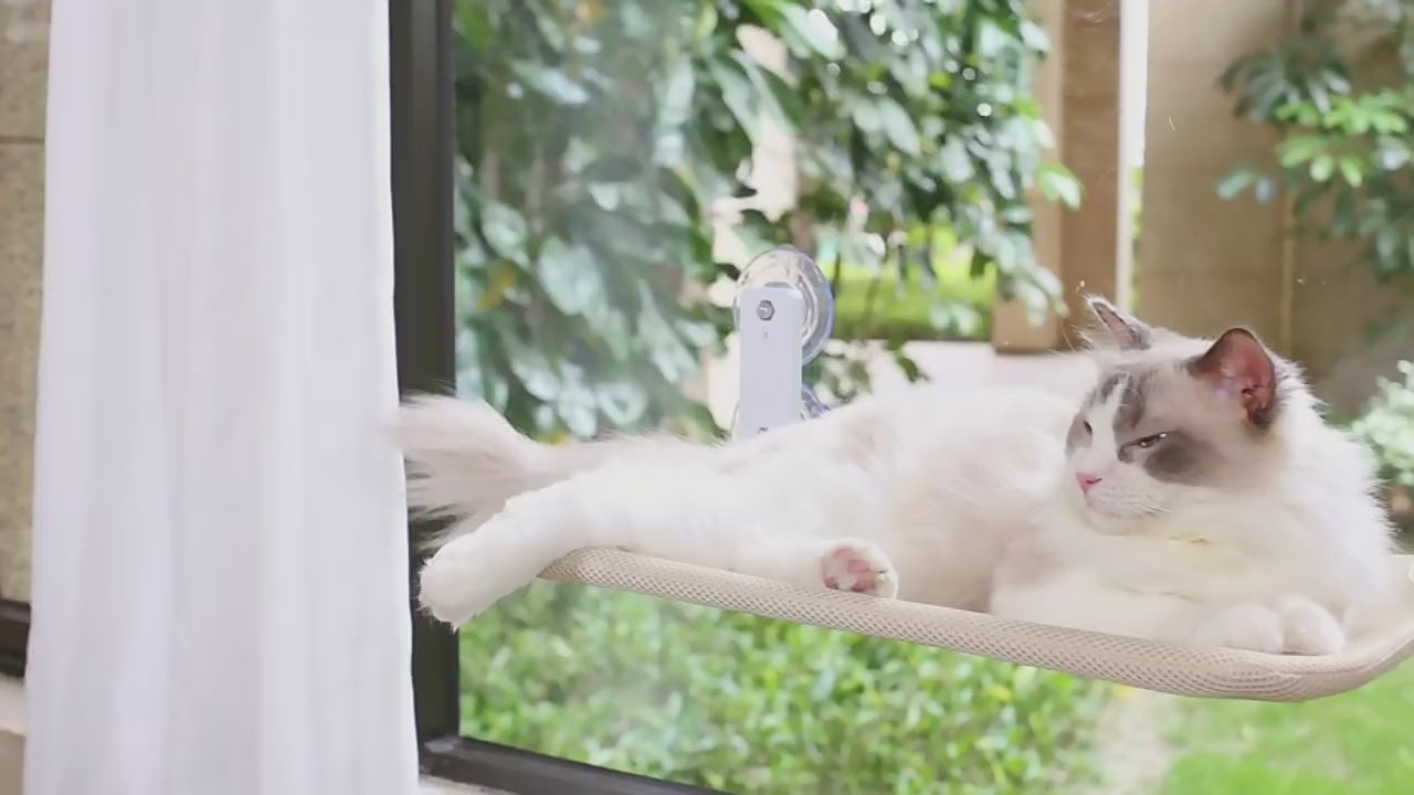 PawFlow Fenster-Katzenliege zum Klappen