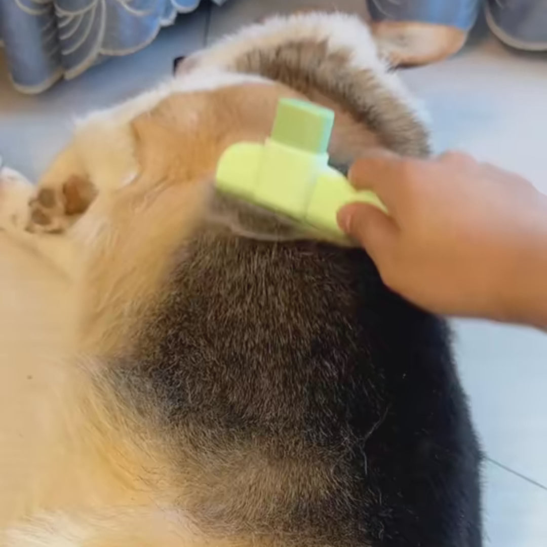 PawFlow Selbstreinigender Premium-Fellkamm für Hunde & Katzen
